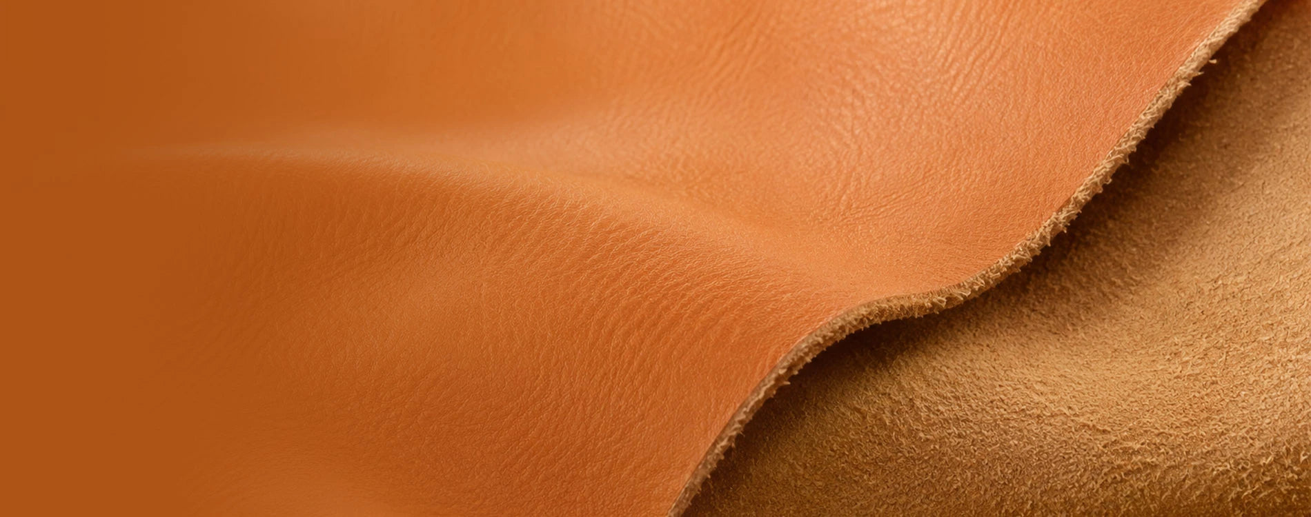 Soft Touch on Every Surface